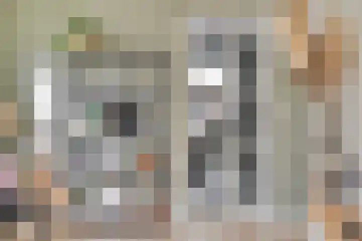 Stocreve 24 Goor thumbnail 17