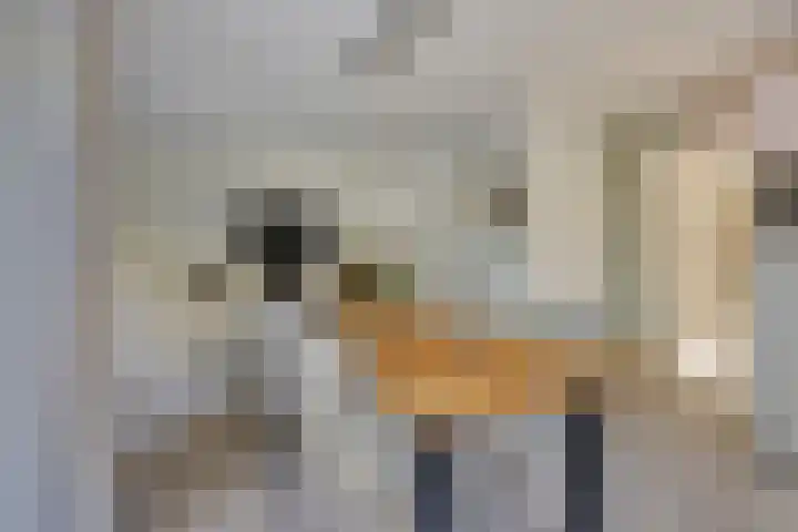 Stocreve 24 Goor thumbnail 18