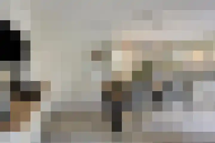 Stocreve 24 Goor thumbnail 21
