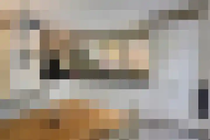 Stocreve 24 Goor thumbnail 25