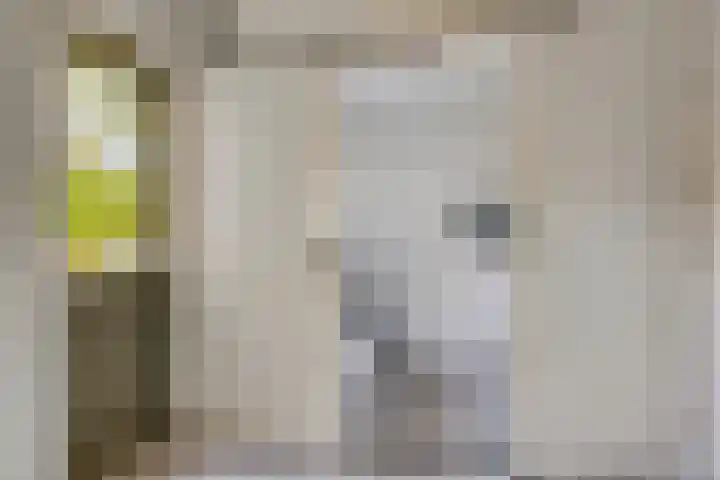 Stocreve 24 Goor thumbnail 27