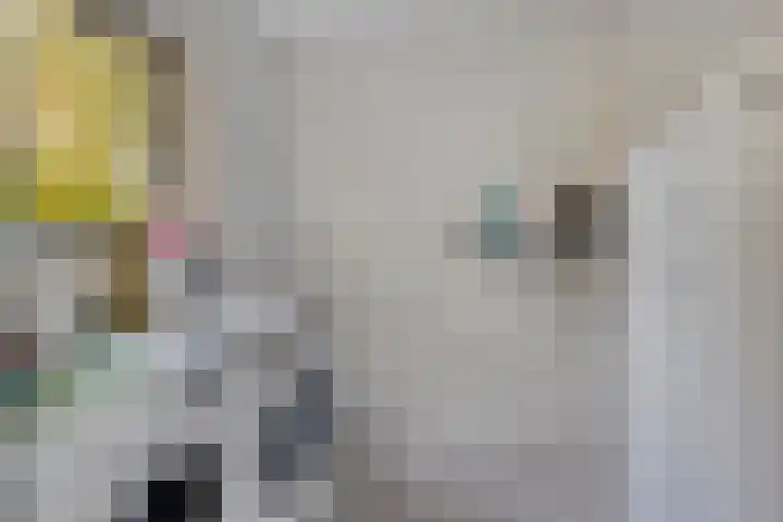 Stocreve 24 Goor thumbnail 28