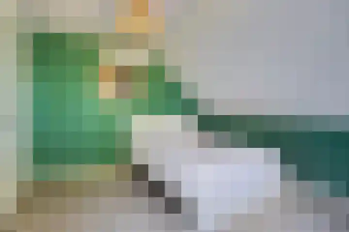 Stocreve 24 Goor thumbnail 40