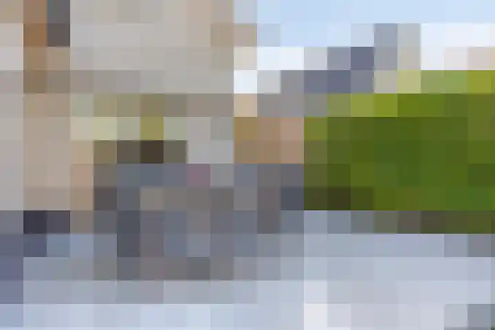 Stocreve 24 Goor thumbnail 44