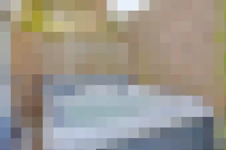 Stocreve 24 Goor thumbnail 45