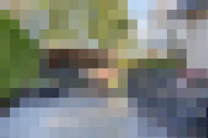 Stocreve 24 Goor thumbnail 46