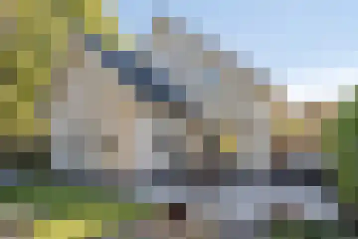 Stocreve 24 Goor thumbnail 47