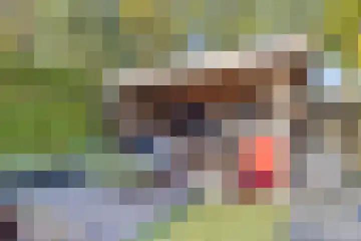 Stocreve 24 Goor thumbnail 49