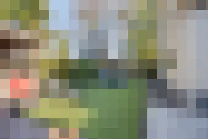 Stocreve 24 Goor thumbnail 51