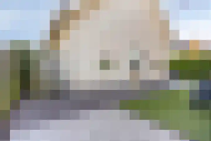 Stocreve 24 Goor thumbnail 52