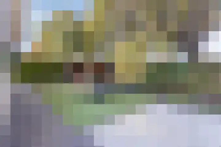 Stocreve 24 Goor thumbnail 53