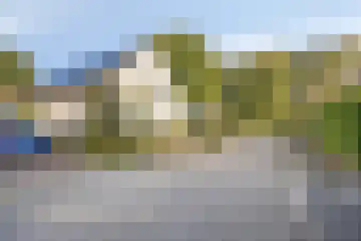 Stocreve 24 Goor thumbnail 55