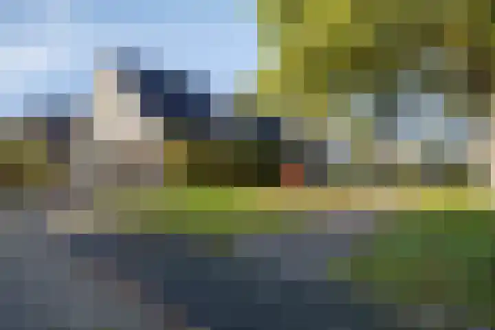 Stocreve 24 Goor thumbnail 56