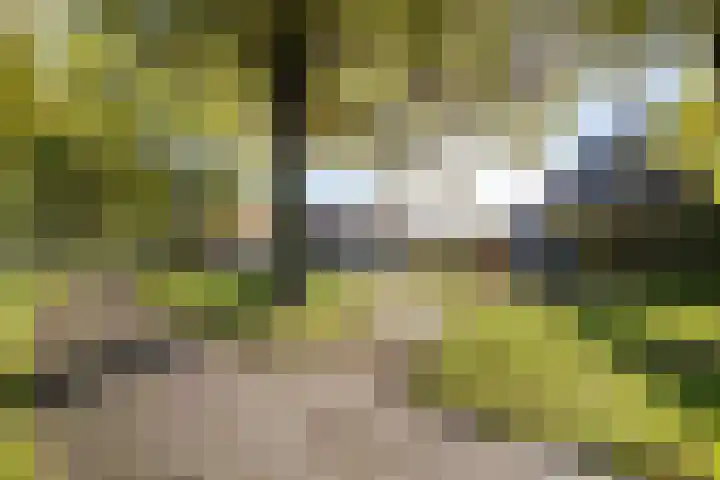 Stocreve 24 Goor thumbnail 57