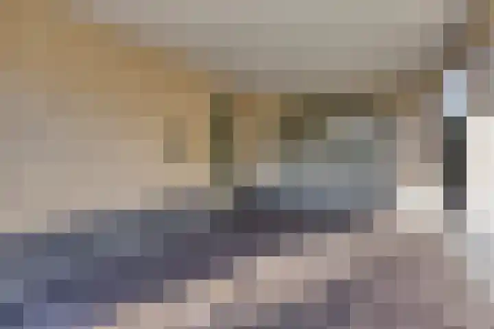 Stocreve 24 Goor thumbnail 7