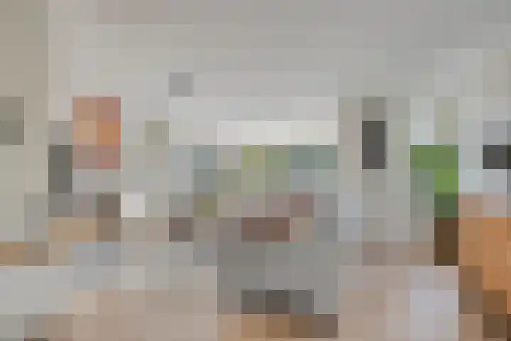 Stocreve 24 Goor thumbnail 9