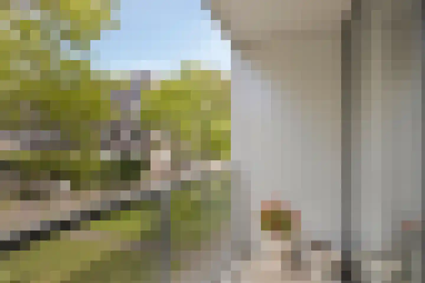 Stoeldraaiersgaarde 35 Den Haag thumbnail 10