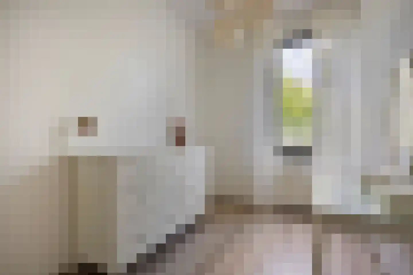 Stoeldraaiersgaarde 35 Den Haag thumbnail 15