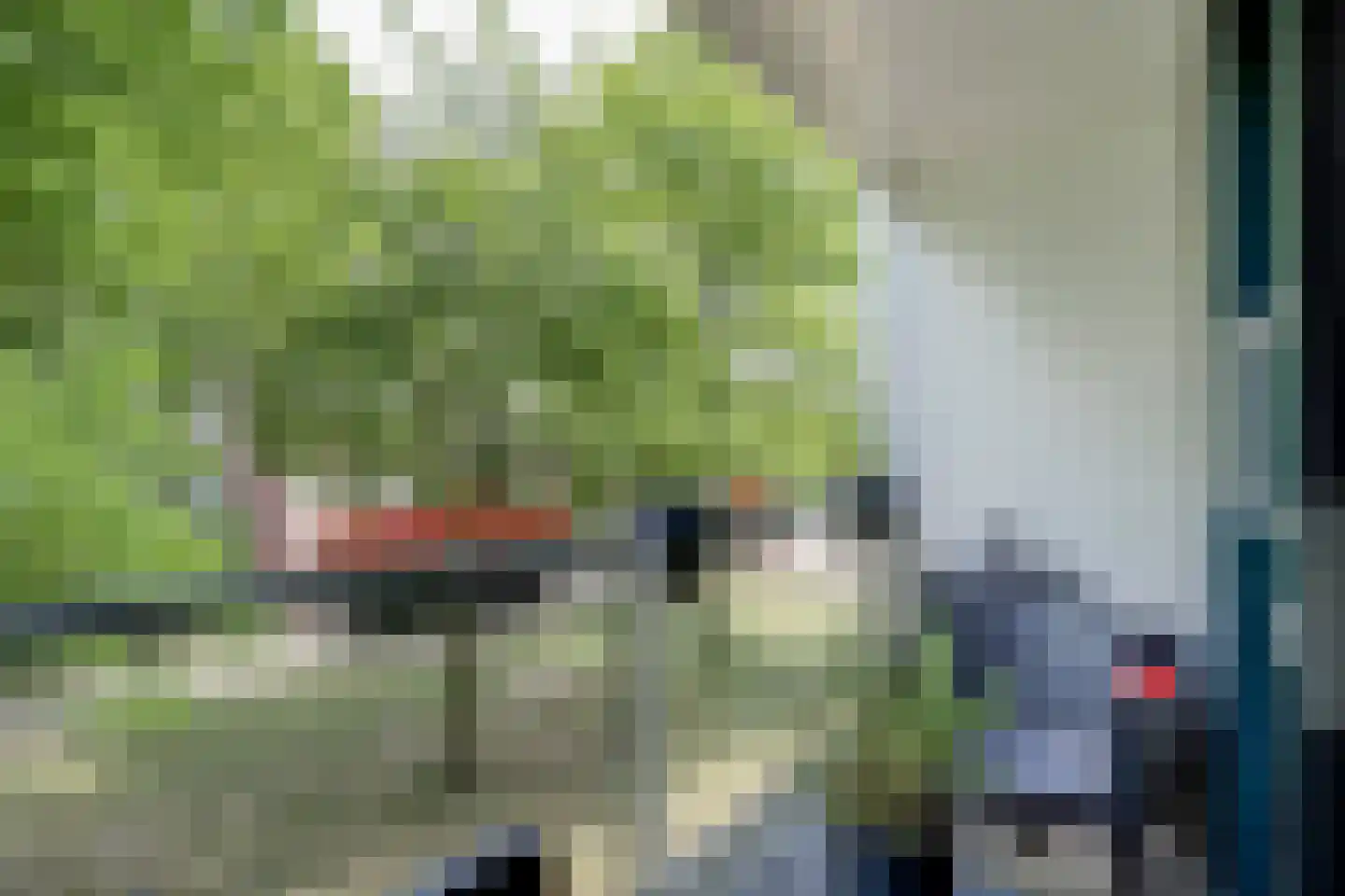 Stoeldraaiersgaarde 41 Den Haag thumbnail 15