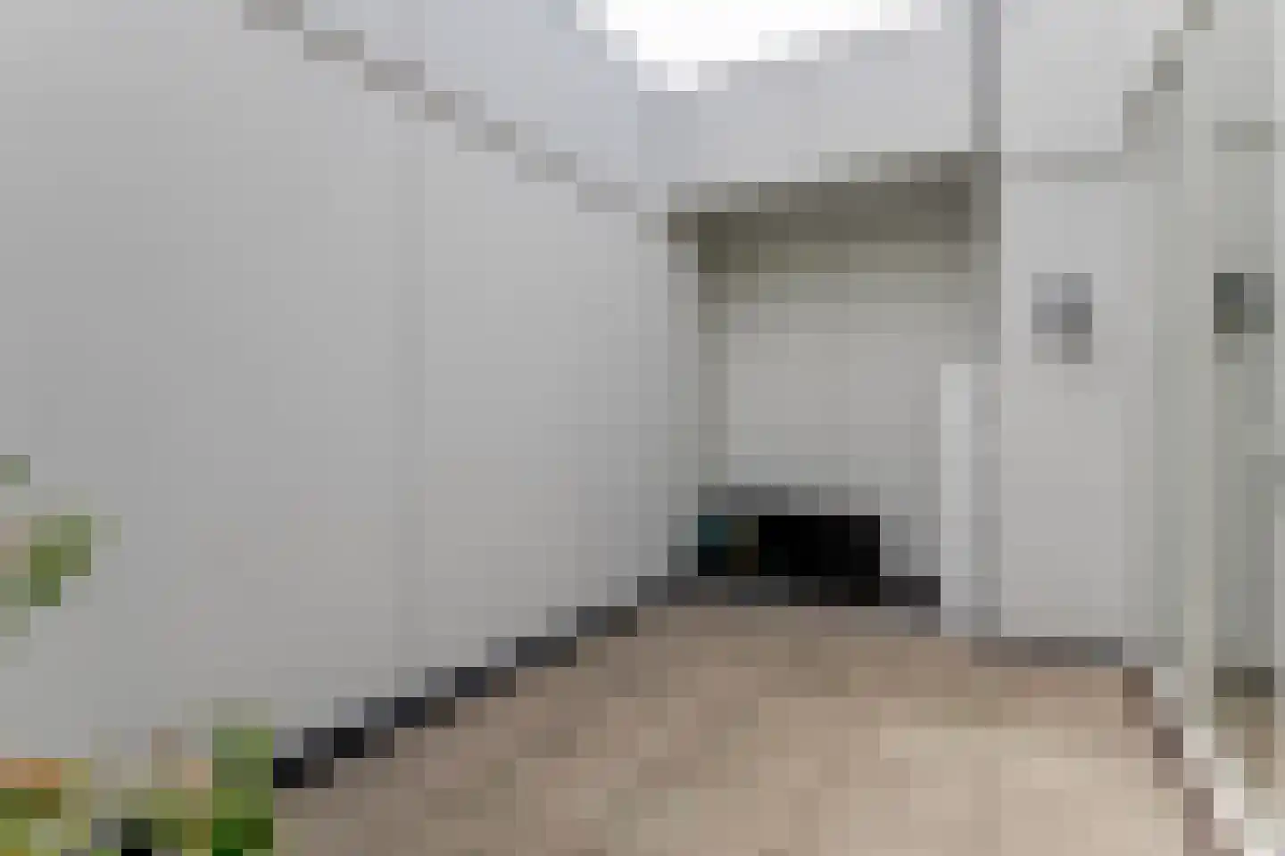 Stoeldraaiersgaarde 41 Den Haag thumbnail 38