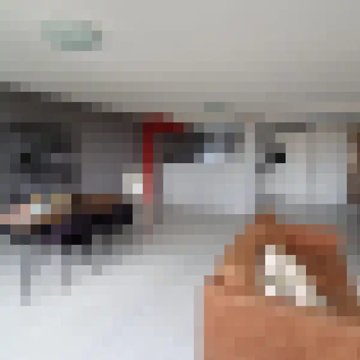Stoeldraaierstraat 1 Groningen thumbnail 4