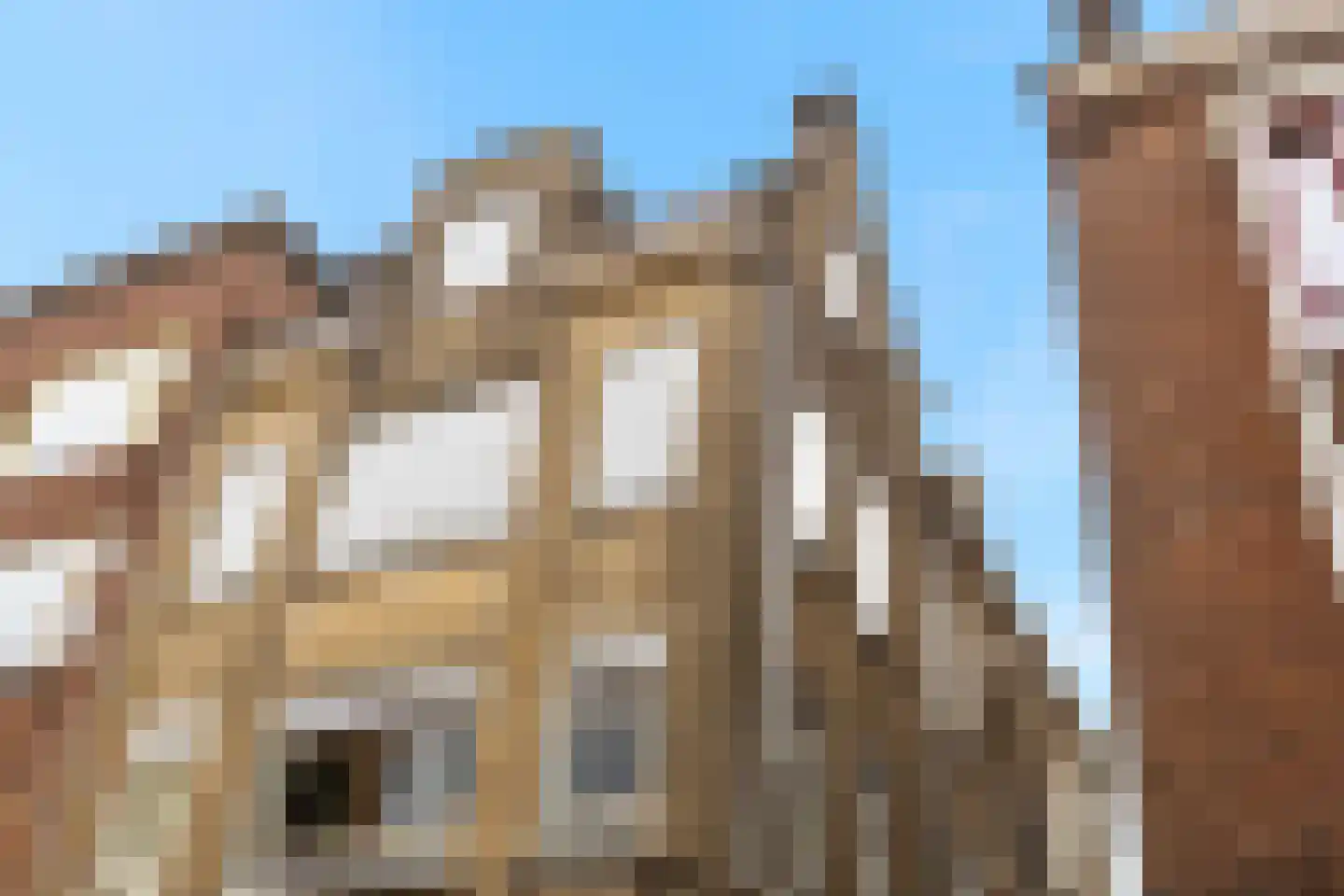 Stoeldraaierstraat 15 Groningen thumbnail 4