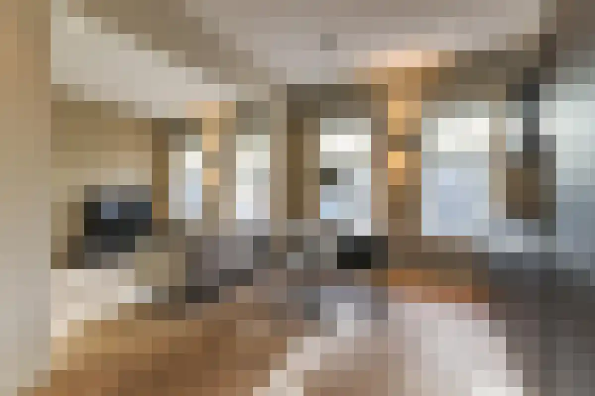 Stoeldraaierstraat 46 Groningen thumbnail 5