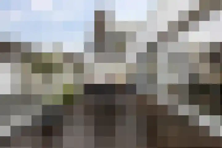 Stoeldraaierstraat 7 4 Groningen thumbnail 28