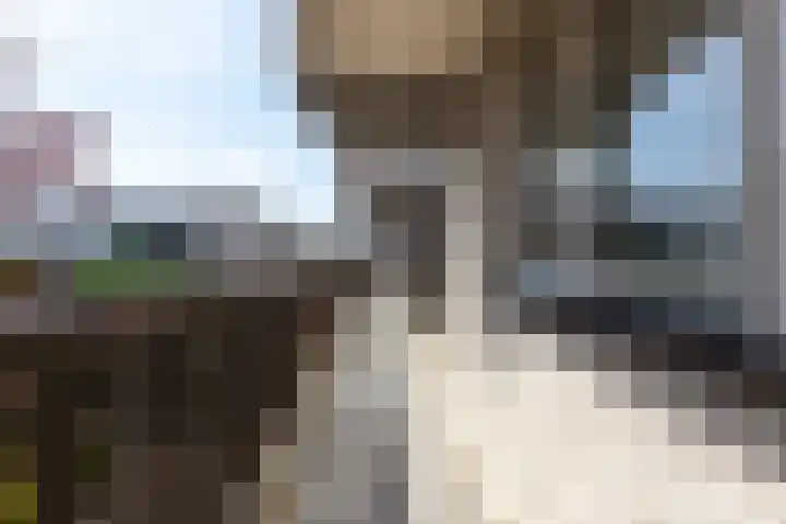 Stoelendans 31 Capelle aan den IJssel thumbnail 10