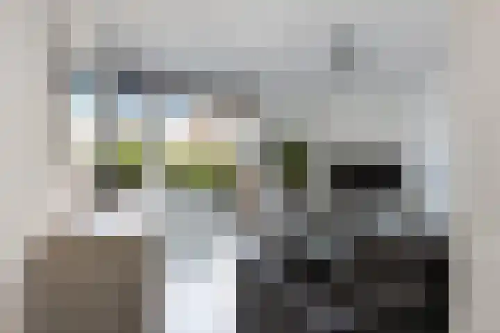 Stoelendans 31 Capelle aan den IJssel thumbnail 20