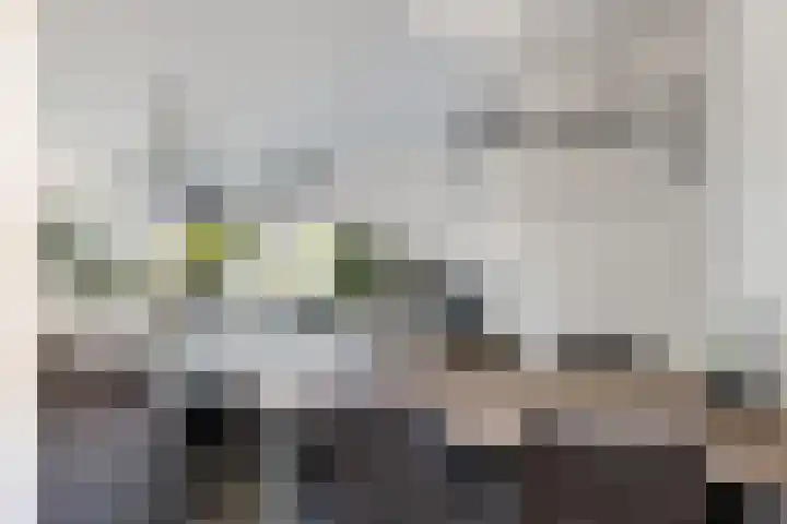 Stoelendans 31 Capelle aan den IJssel thumbnail 25