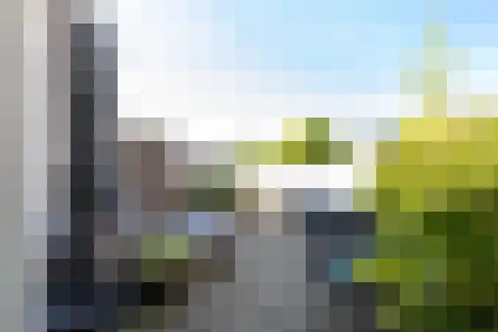 Stoelendans 31 Capelle aan den IJssel thumbnail 30