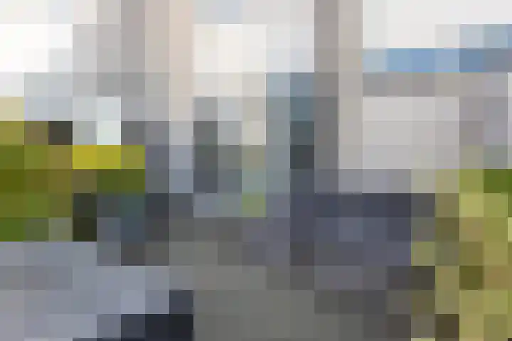 Stoelendans 31 Capelle aan den IJssel thumbnail 32