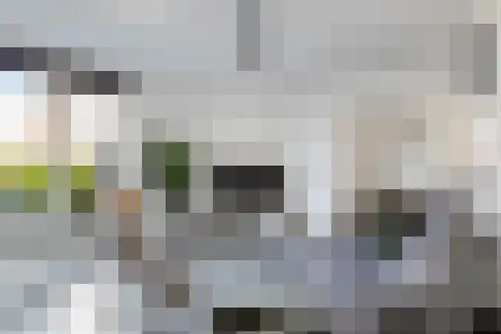 Stoelendans 31 Capelle aan den IJssel thumbnail 4
