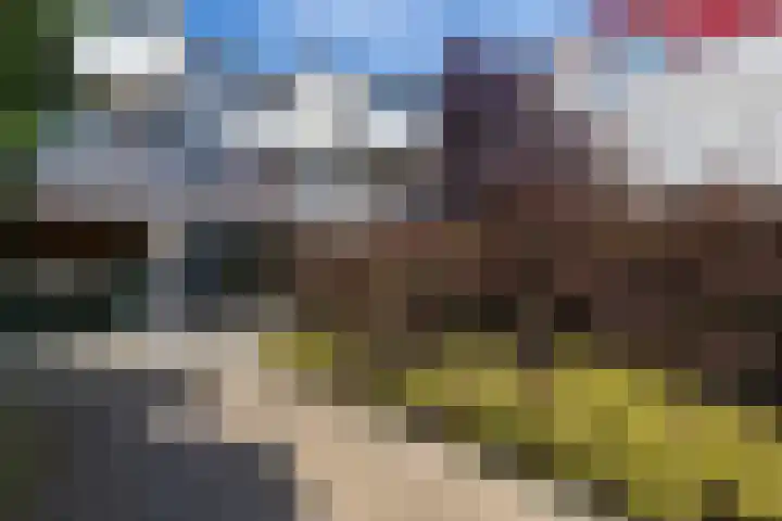 Stoelendans 31 Capelle aan den IJssel thumbnail 6