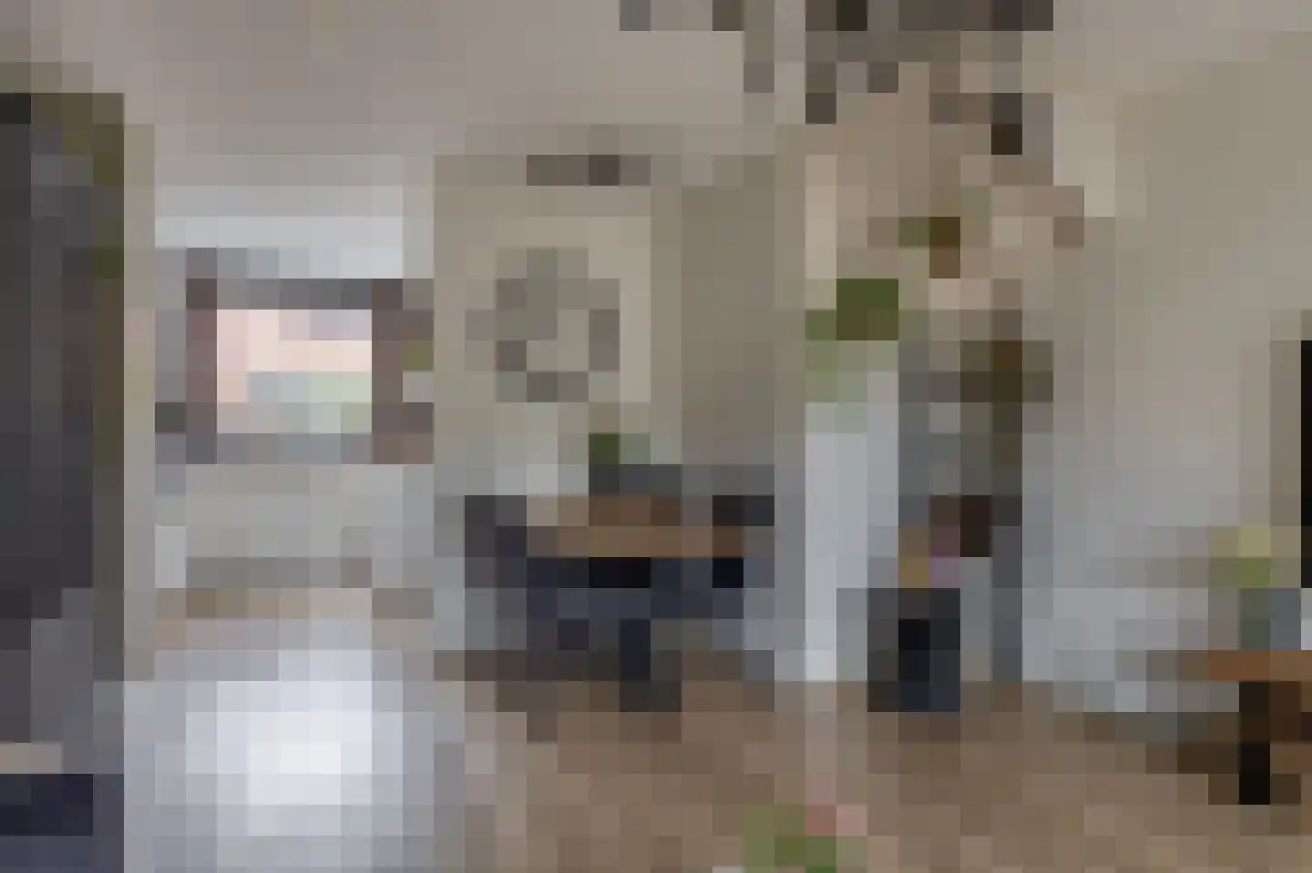 Stoelendans 7 Capelle aan den IJssel thumbnail 10
