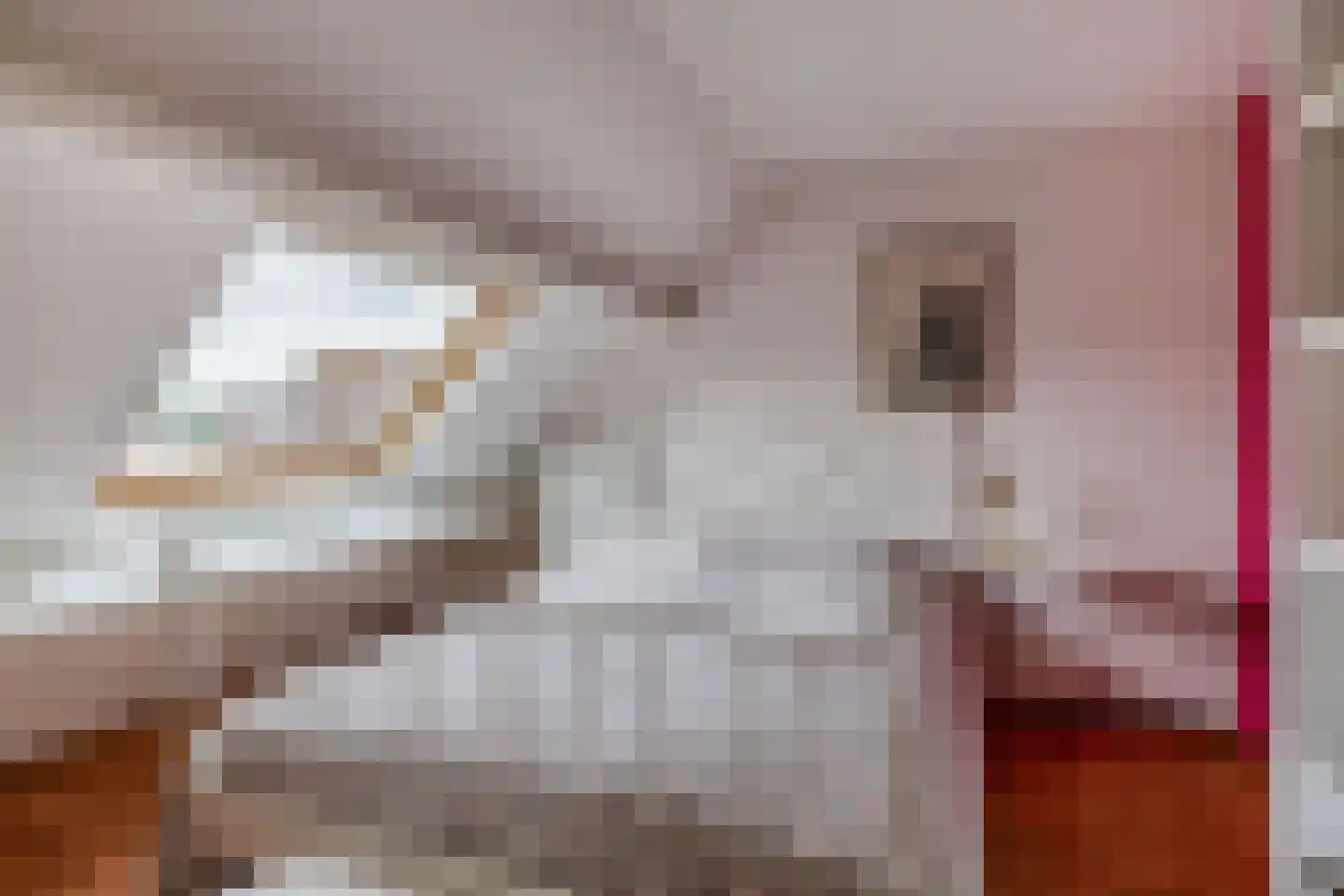 Stoelendans 7 Capelle aan den IJssel thumbnail 27