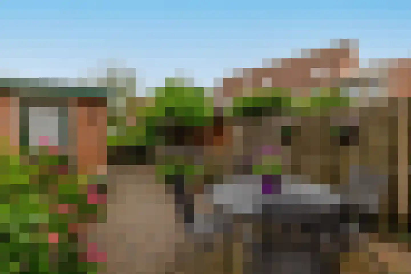 Stoelendans 7 Capelle aan den IJssel thumbnail 31