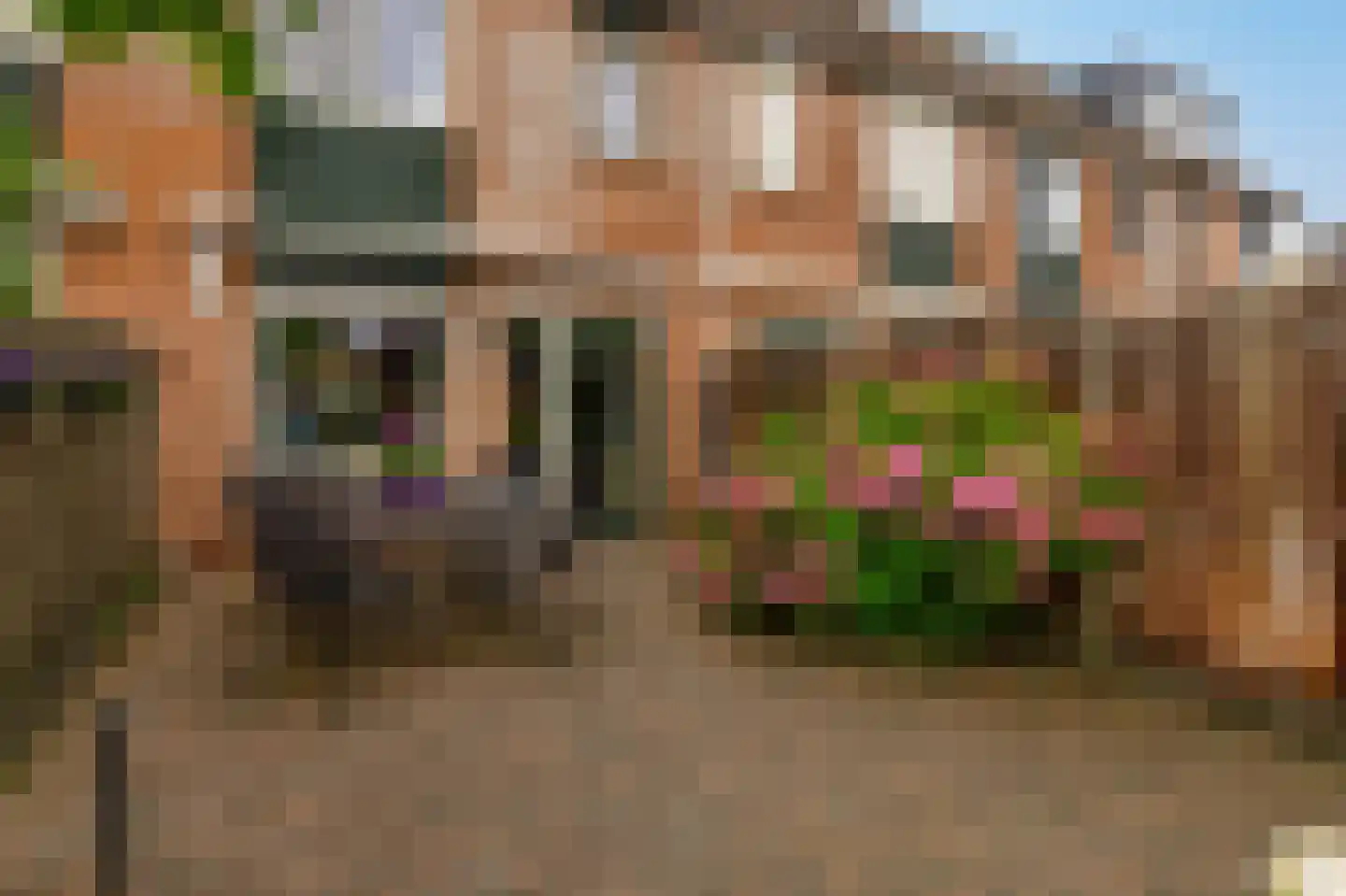 Stoelendans 7 Capelle aan den IJssel thumbnail 33