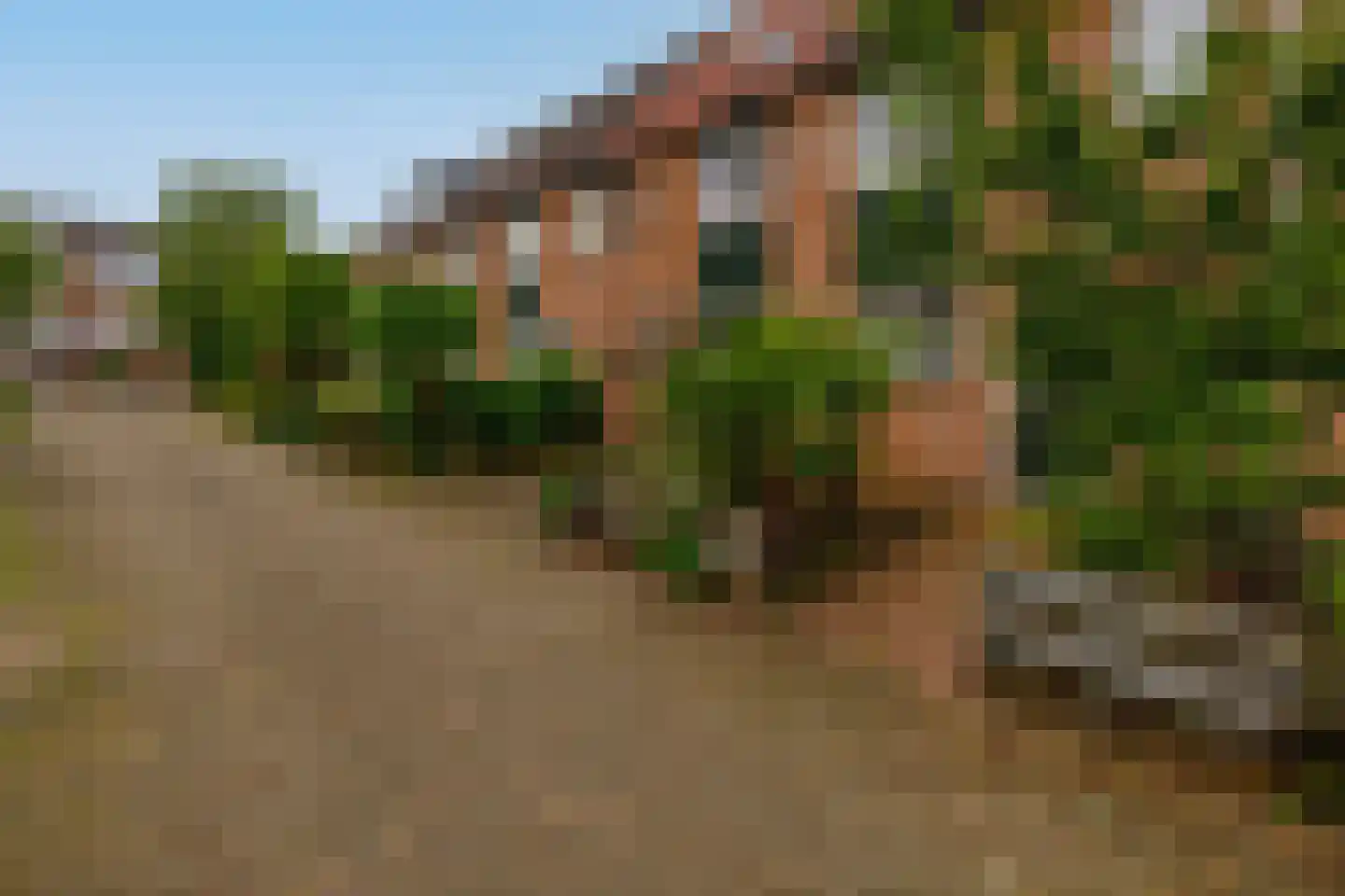 Stoelendans 7 Capelle aan den IJssel thumbnail 40