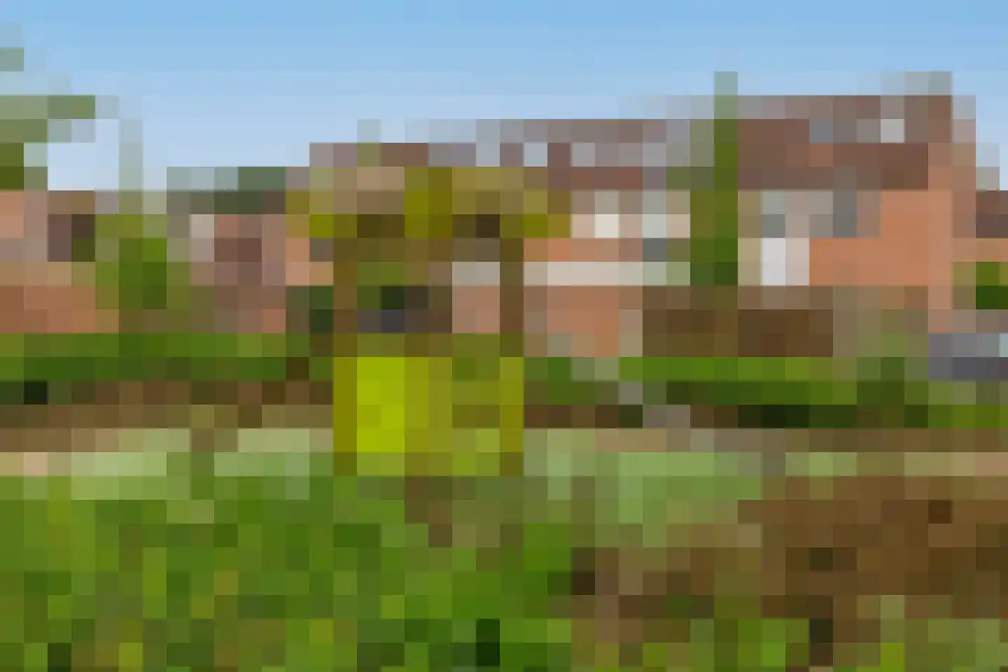 Stoelendans 7 Capelle aan den IJssel thumbnail 47