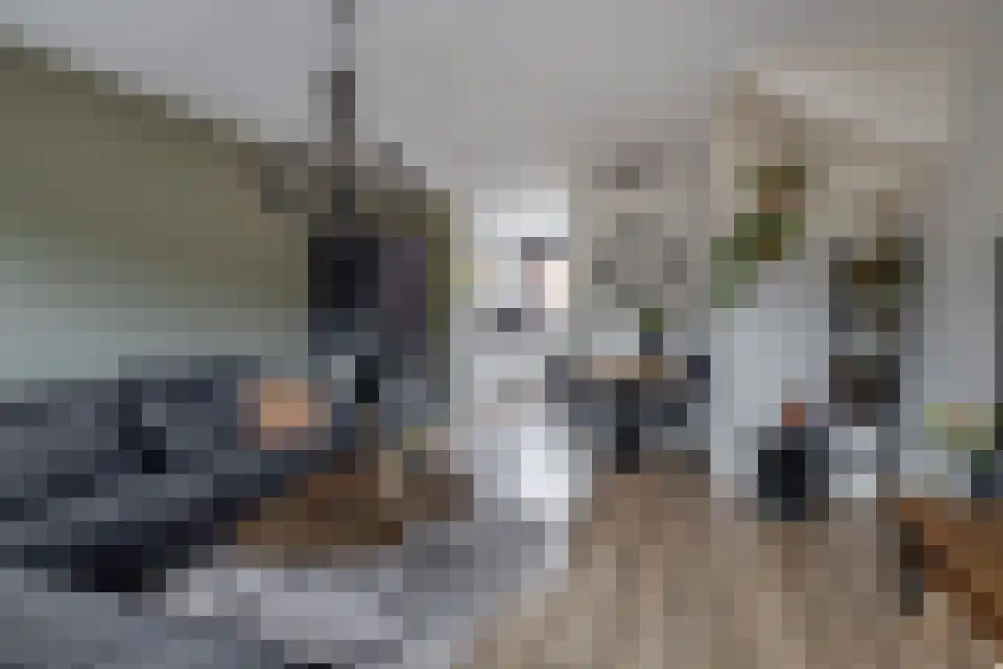 Stoelendans 7 Capelle aan den IJssel thumbnail 9