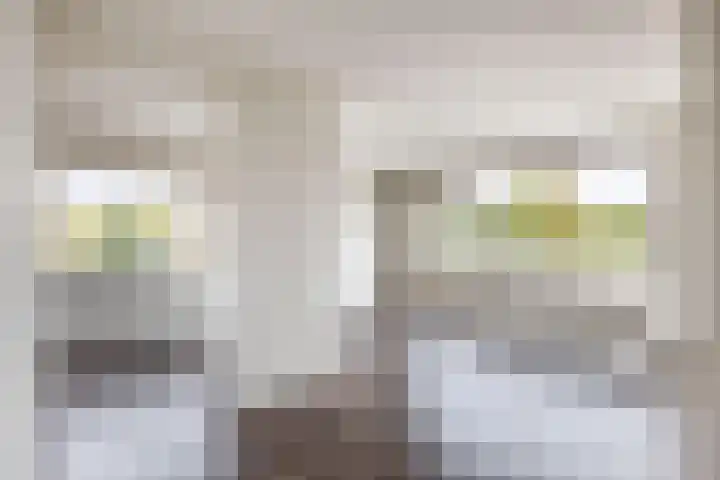 Stoelendans 92 Capelle aan den IJssel thumbnail 10