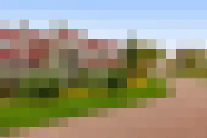 Stoelendans 92 Capelle aan den IJssel thumbnail 34