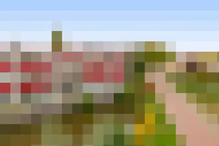 Stoelendans 92 Capelle aan den IJssel thumbnail 35