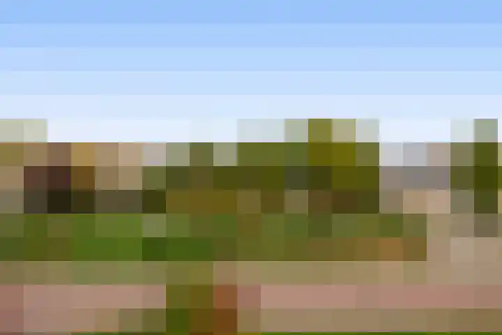 Stoelendans 92 Capelle aan den IJssel thumbnail 39