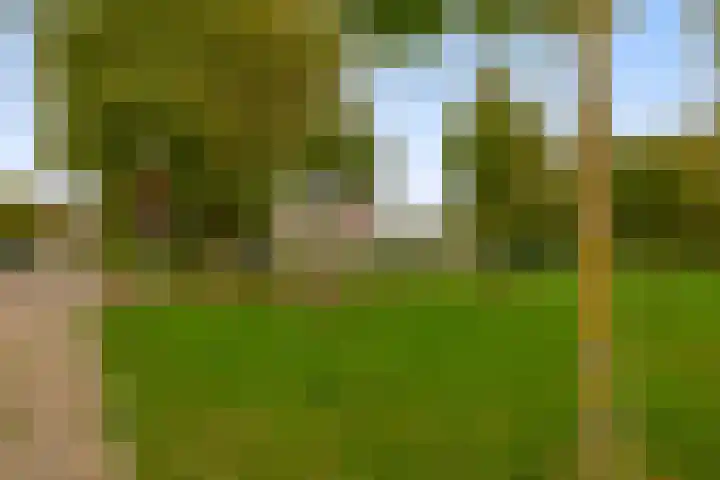 Stoelendans 92 Capelle aan den IJssel thumbnail 40