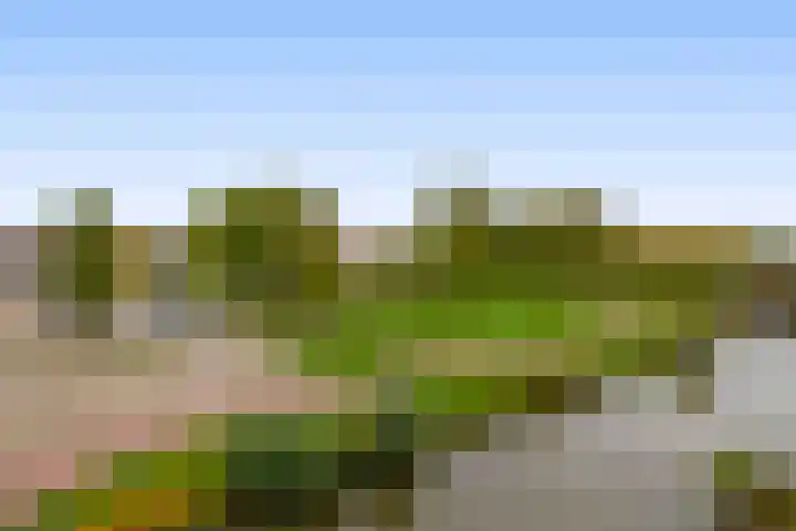Stoelendans 92 Capelle aan den IJssel thumbnail 41