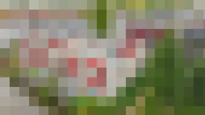 Stoelendans 92 Capelle aan den IJssel thumbnail 46