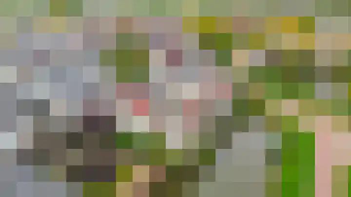 Stoelendans 92 Capelle aan den IJssel thumbnail 49